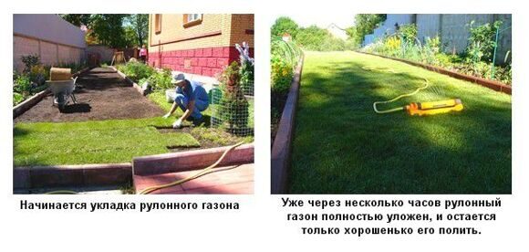 укладка рулонного газона